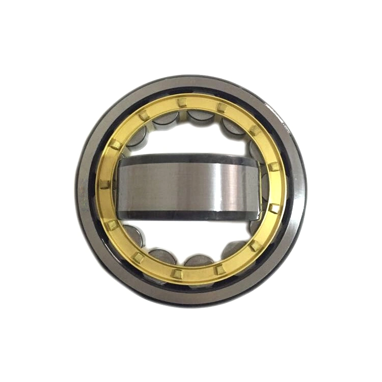 Standard Size Roller Bearing with Standard Size Chart Nu315 Nu316 Nu317 Nu318 Bearing Steel Cylindrical Roller Bearing